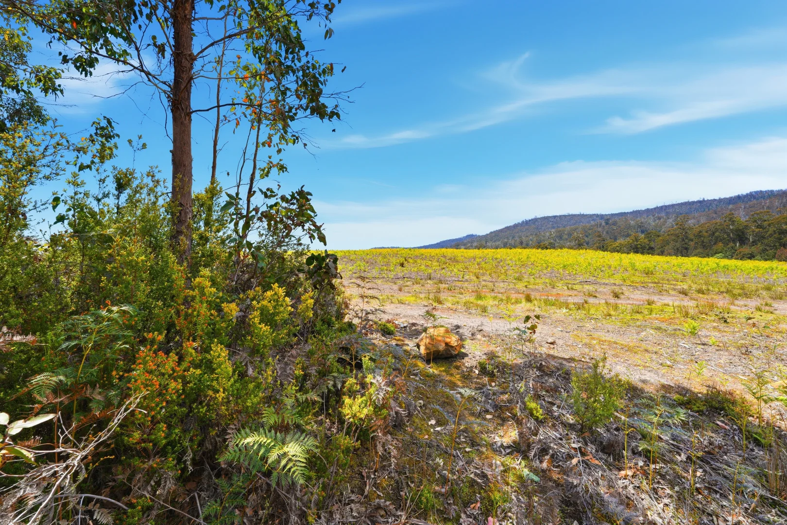 Additional image 14 of 319 Yearsley Road, Broadmarsh TAS 7030