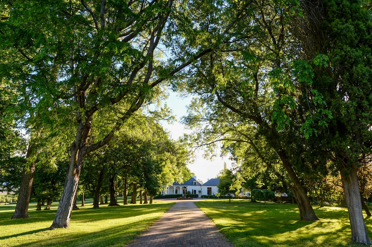 Additional image 4 of 1145 Westwood Road, Hagley TAS 7292