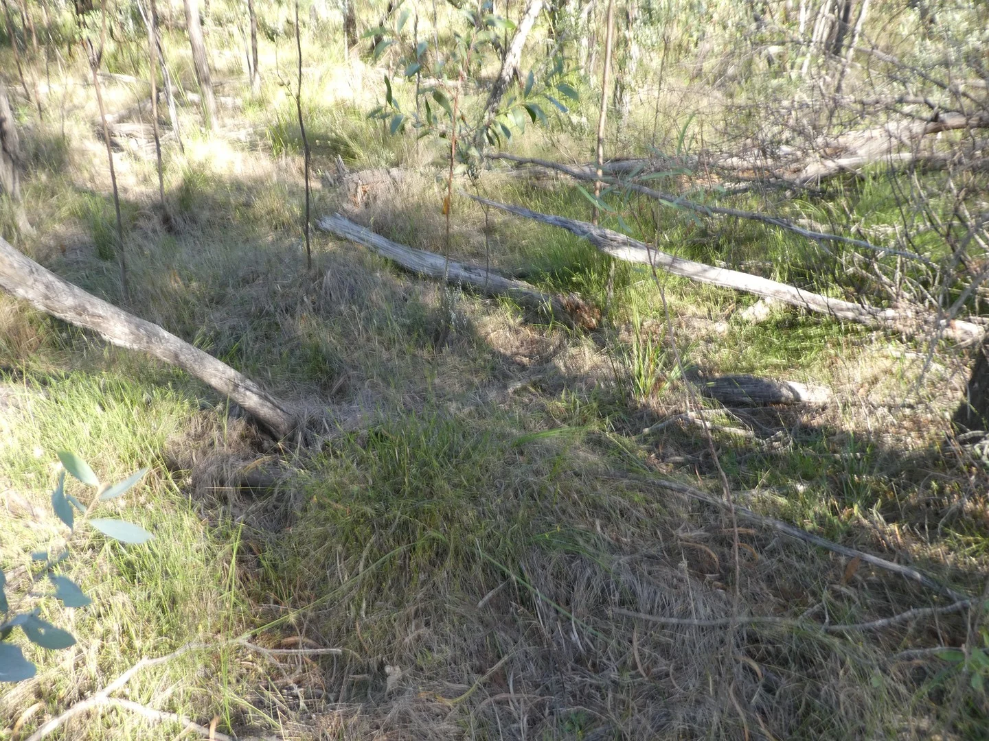 Lot 30 Dahlkes Road, Tara QLD 4421