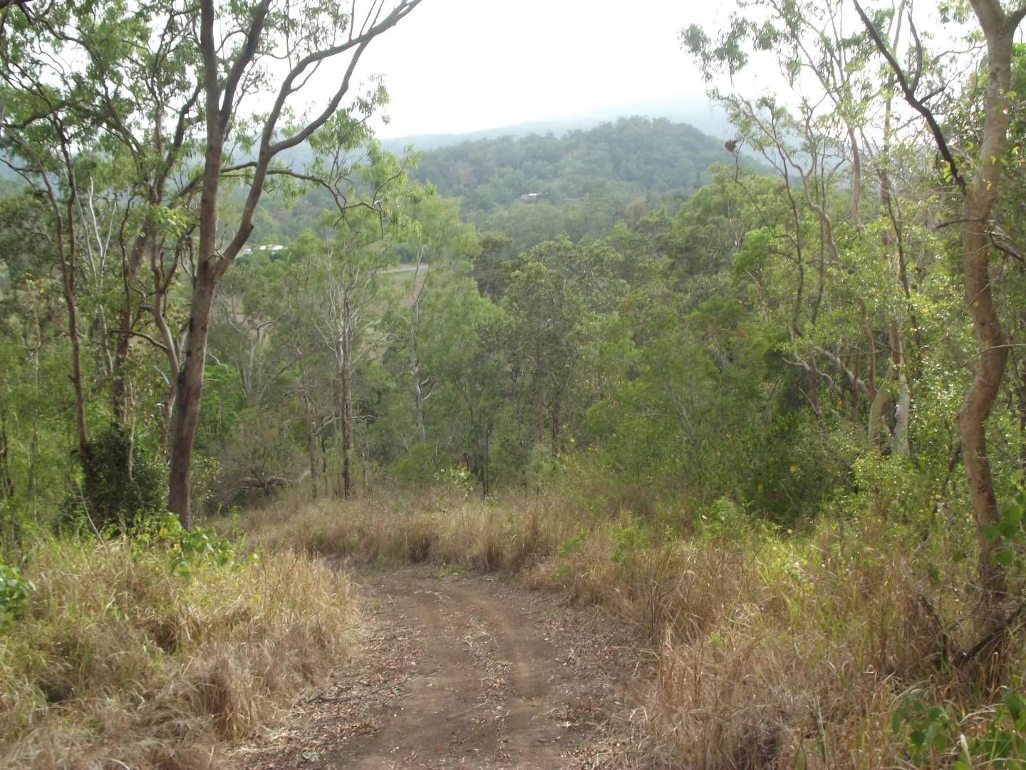 Additional image 6 of 617 Devereux Creek Road, Devereux Creek QLD 4753