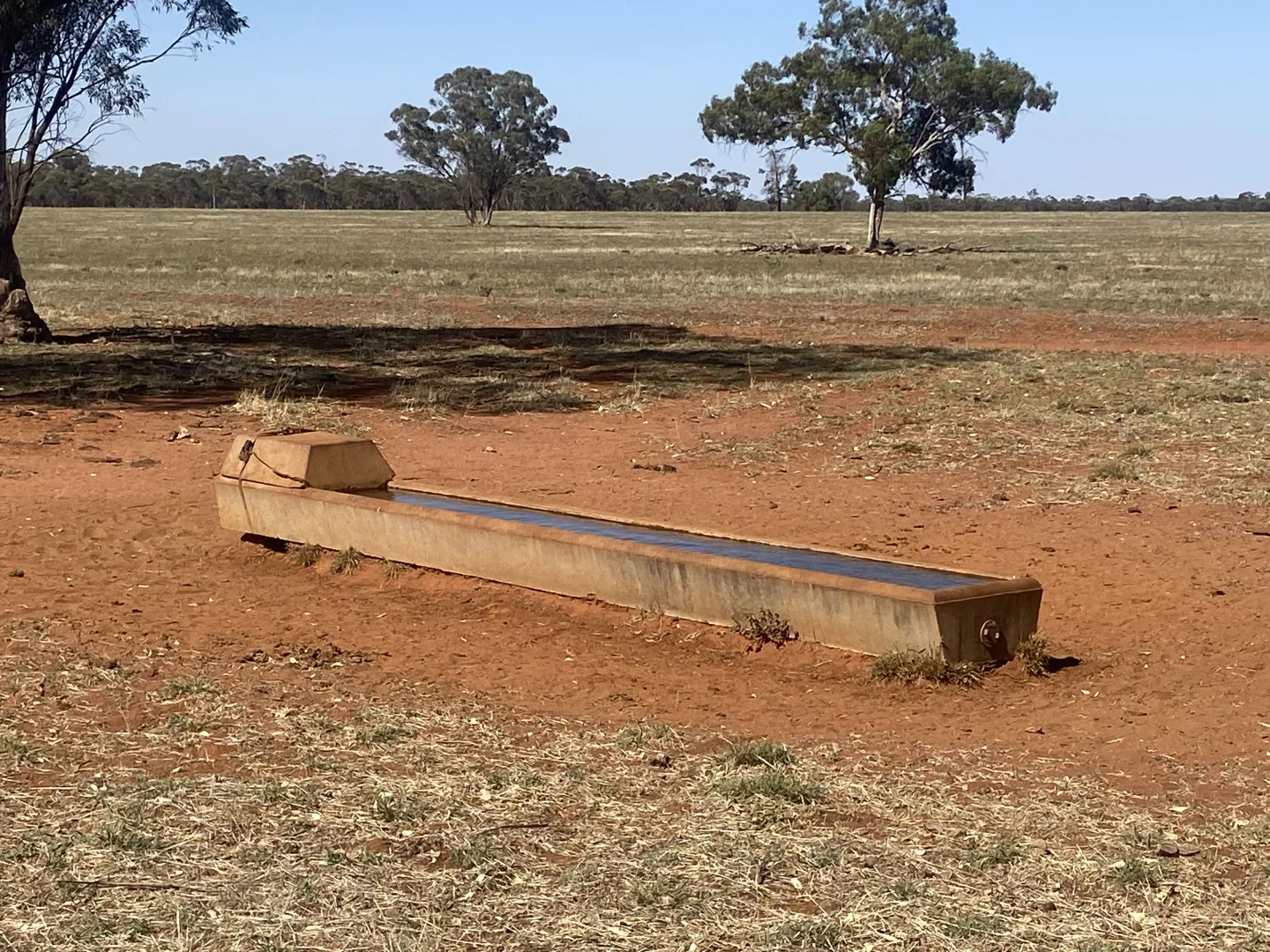 Additional image 6 of 441 Imries Lane, Tullibigeal NSW 2669