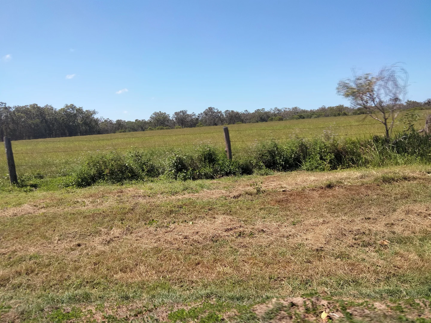 Additional image 16 of 2913 Rosedale Road, Yandaran QLD 4673
