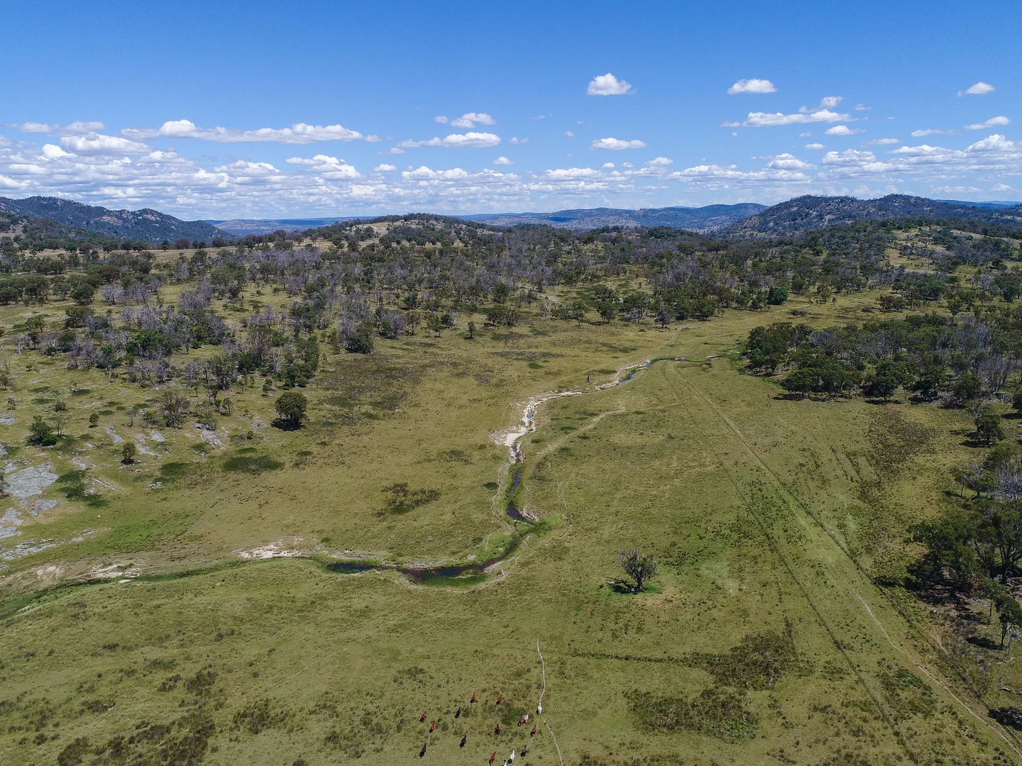 Additional image 4 of 778 Torryburn Road, Yarrowyck NSW 2358