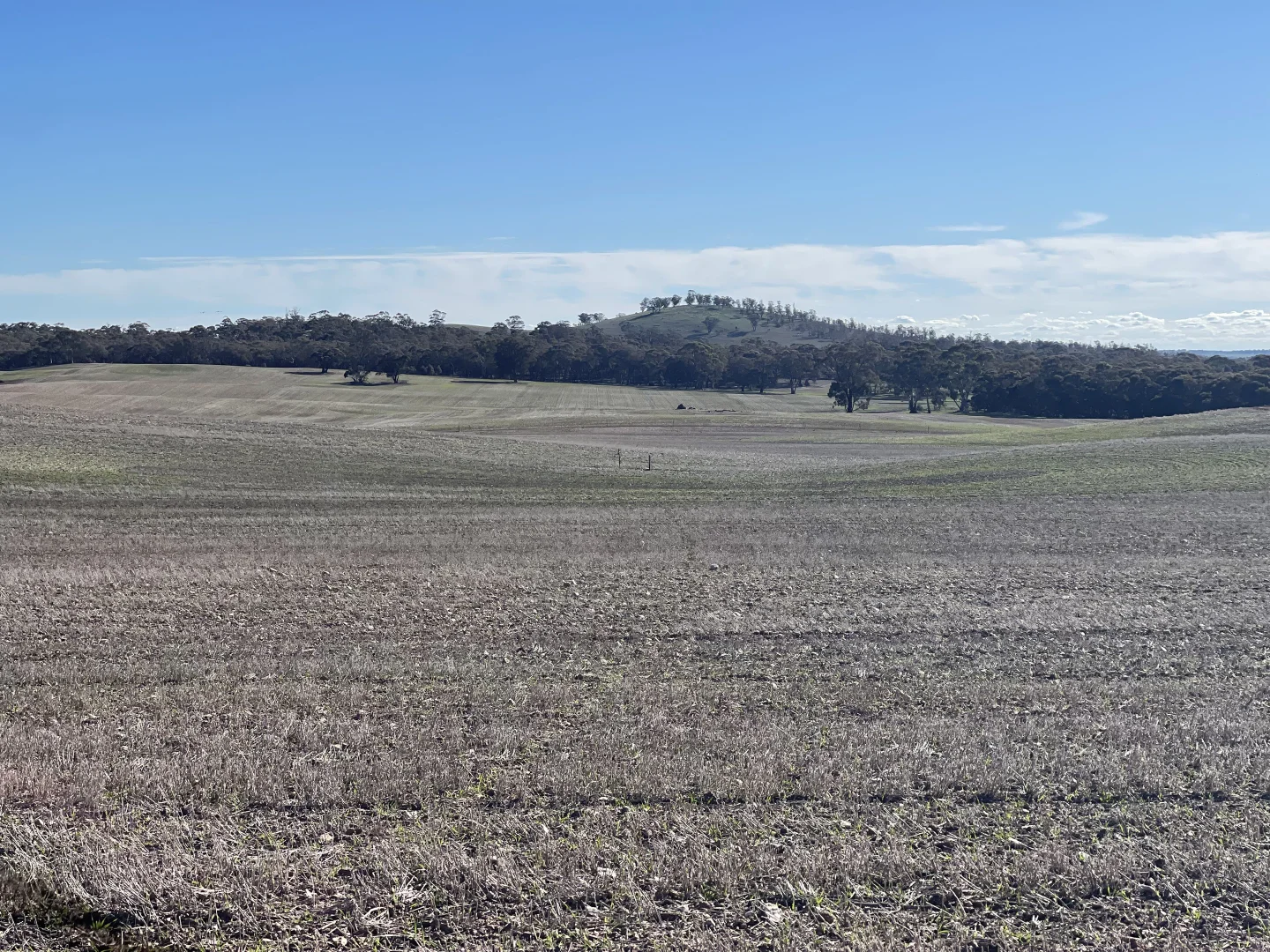 Additional image 15 of 54/54 Calder Highway, Wedderburn VIC 3518