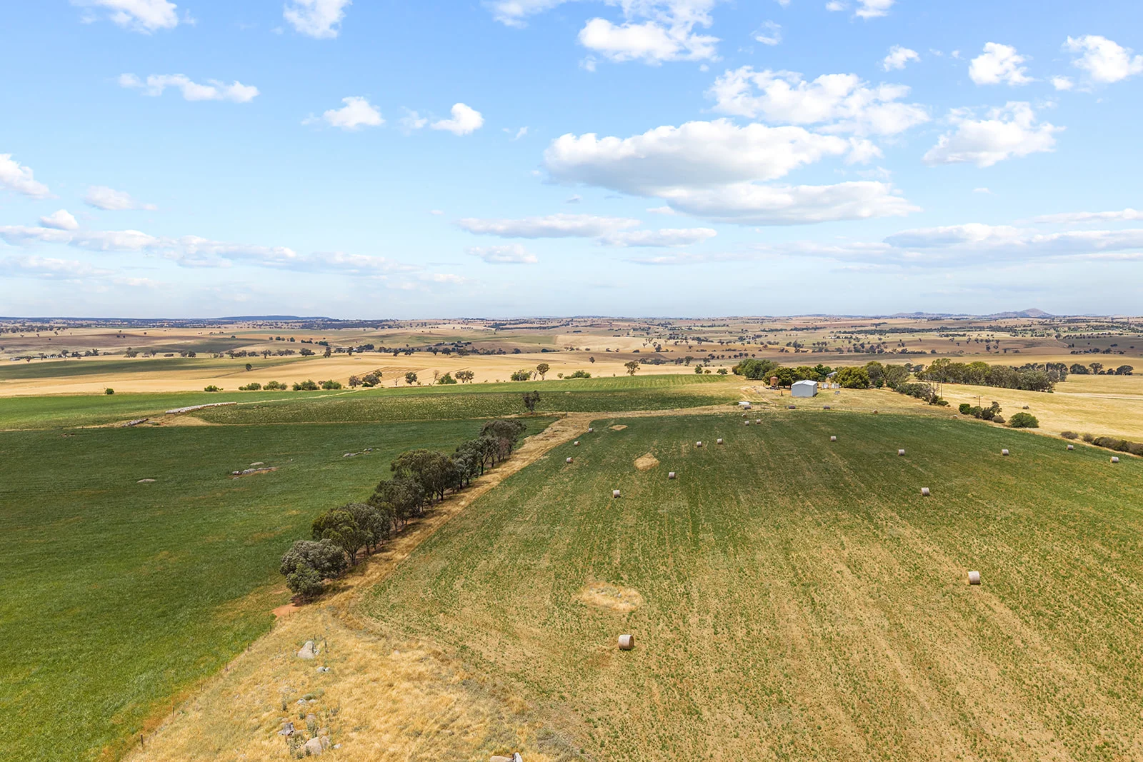 Additional image 24 of 215 Holman Road, Murrumburrah NSW 2587