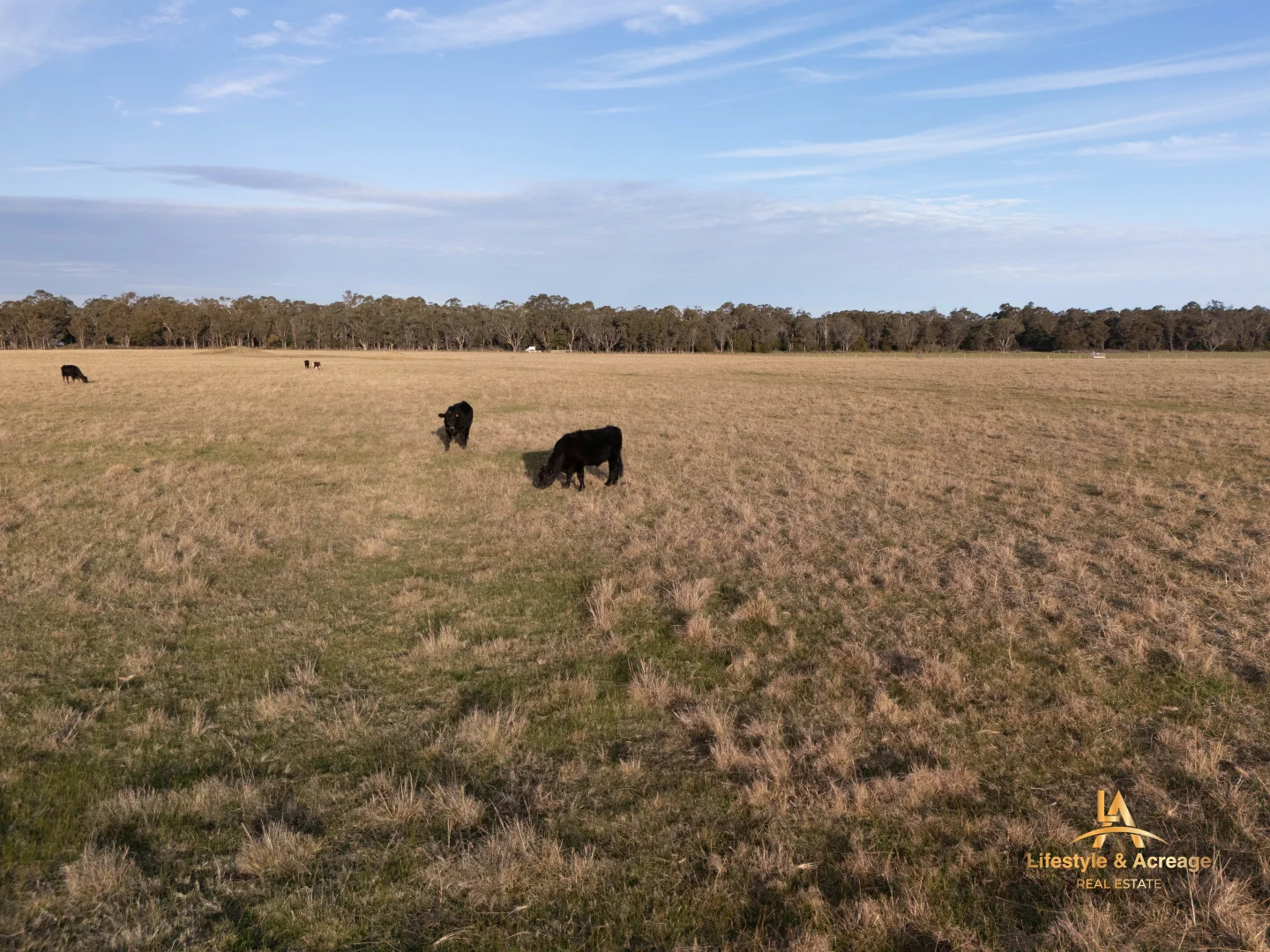 Additional image 23 of 4105 SOUTH GIPPSLAND HIGHWAY, Giffard West VIC 3851