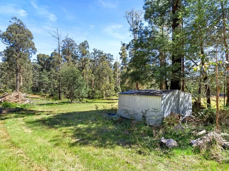 Additional image 6 of 38 Kings Road, Marysville VIC 3779