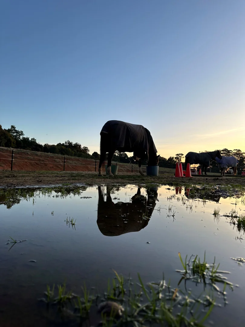 Additional image 31 of 95 Watkins Road, Creek Junction VIC 3669