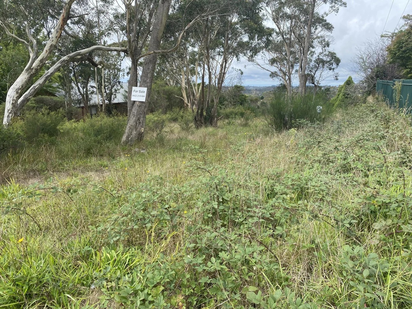 1 Woodlands Road, Katoomba NSW 2780