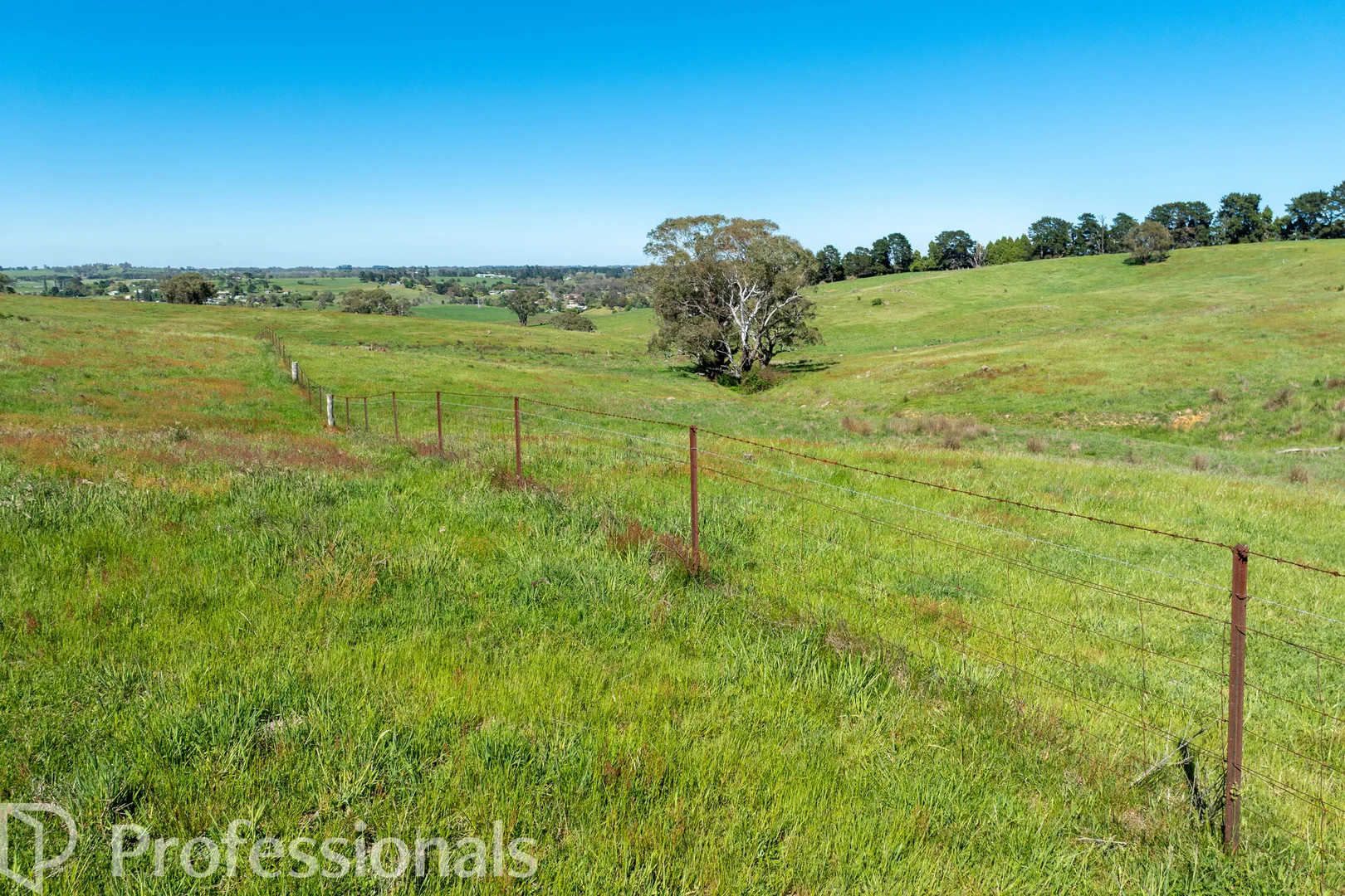 Additional image 37 of 225 Emu Swamp Road, Orange NSW 2800