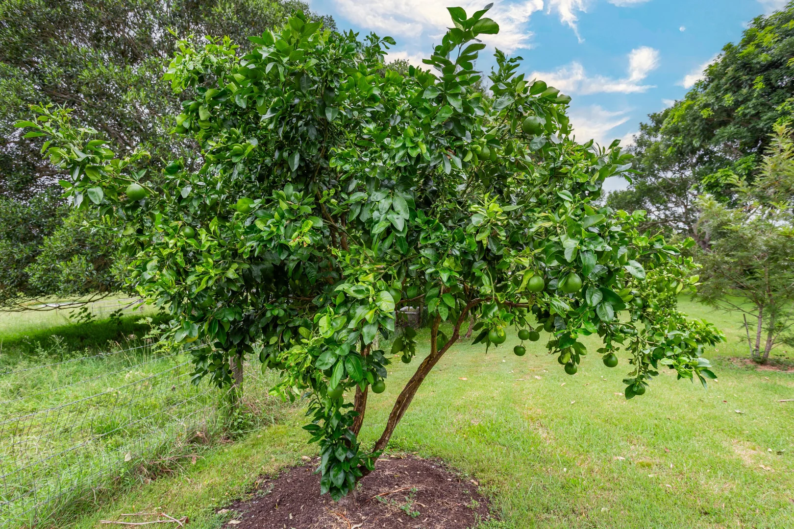 Additional image 24 of 1430 Glastonbury Road, Glastonbury QLD 4570