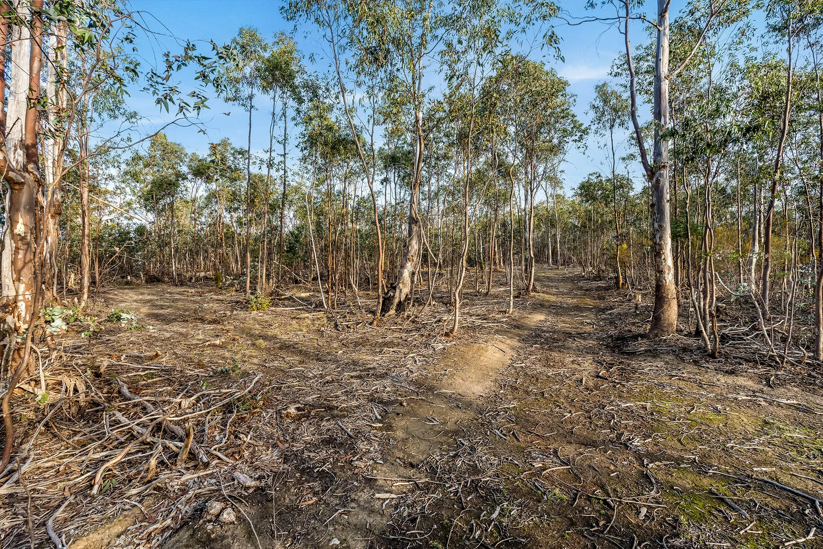 Additional image 11 of 107 Inala Road, Forcett TAS 7173