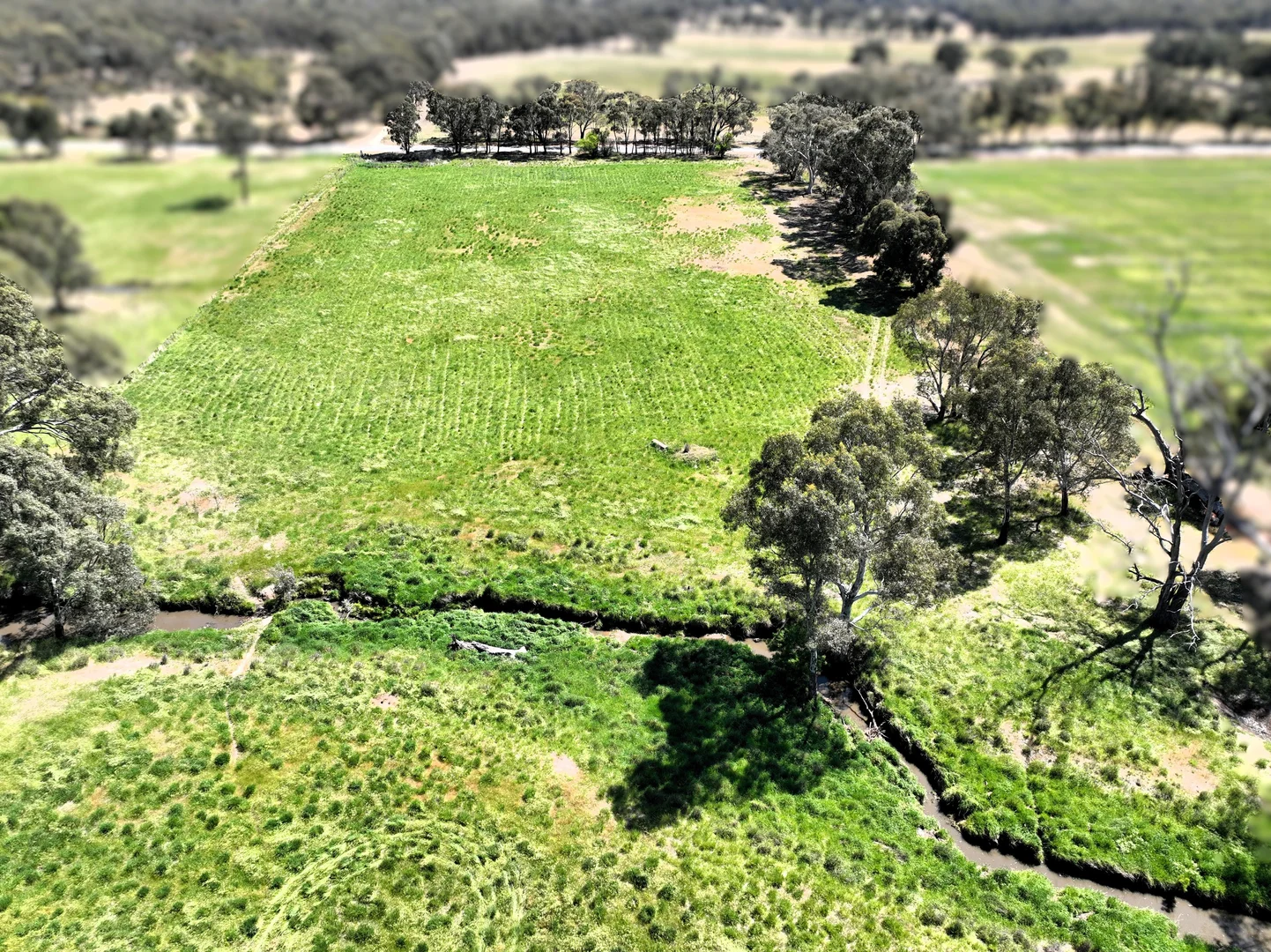 Additional image 7 of 0 Wimmera Highway, St Arnaud VIC 3478
