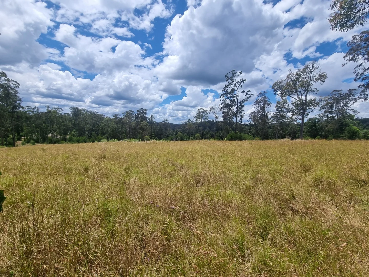 0 SUNDAY CREEK ROAD, Jimna QLD 4515