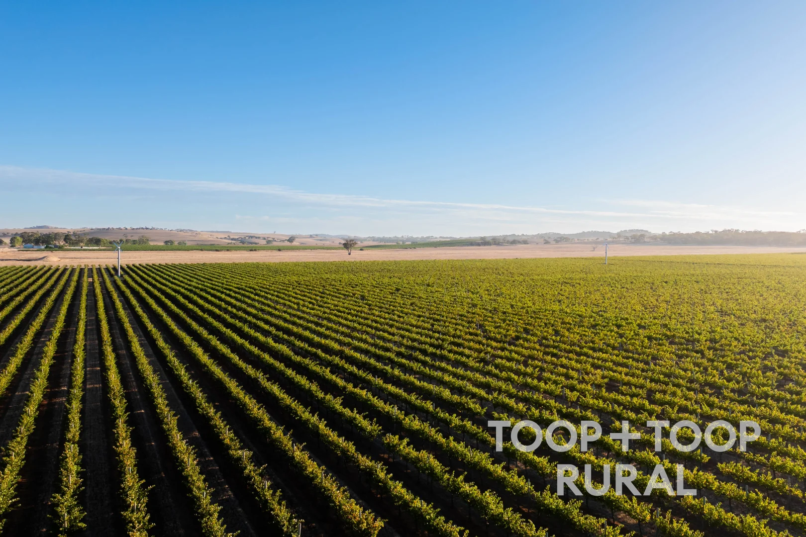 Additional image 11 of 1404 Research Road, Ebenezer SA 5355