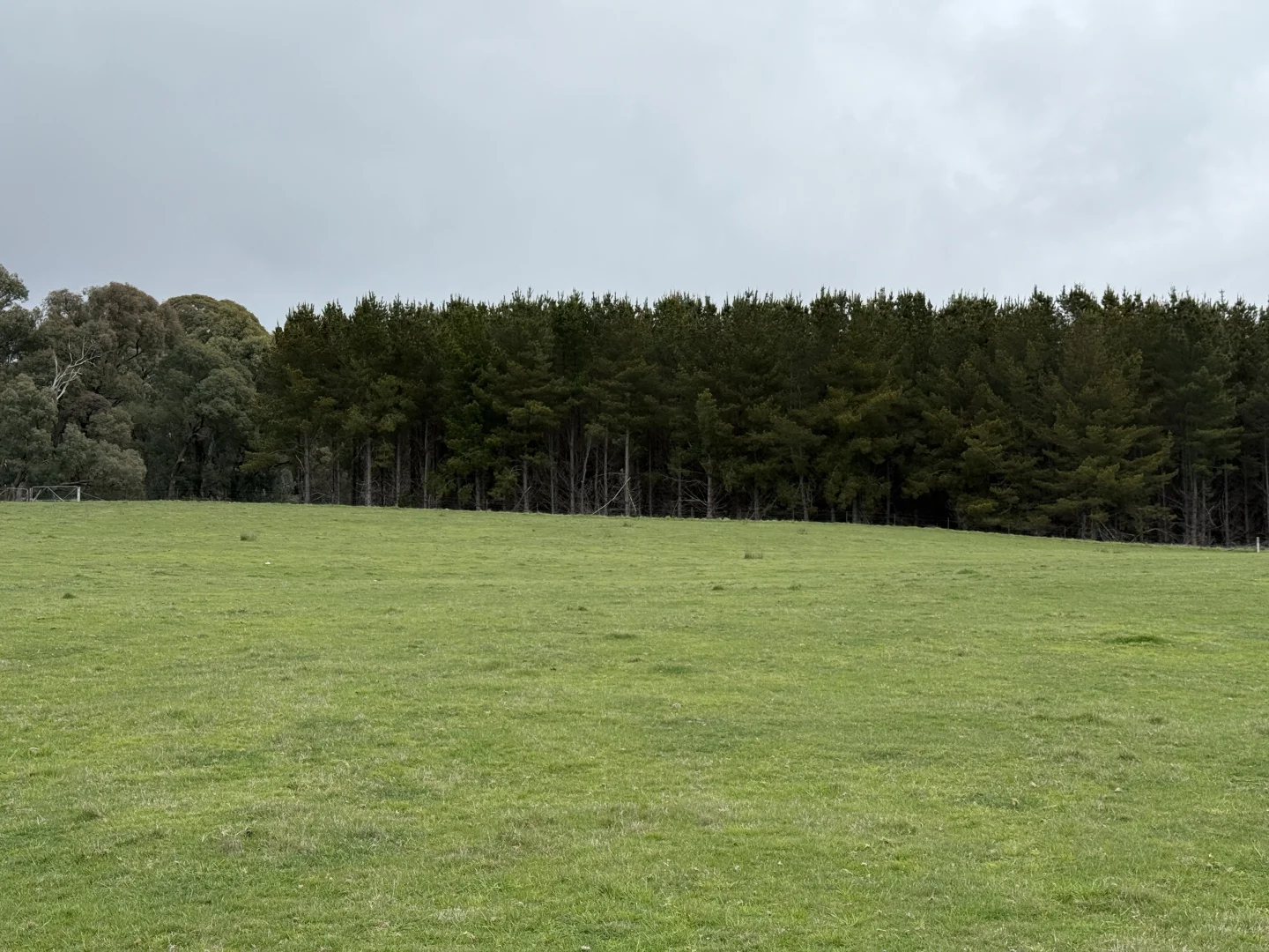 Additional image 7 of Lot 13 Rosewood Hills Road, Tumbarumba NSW 2653