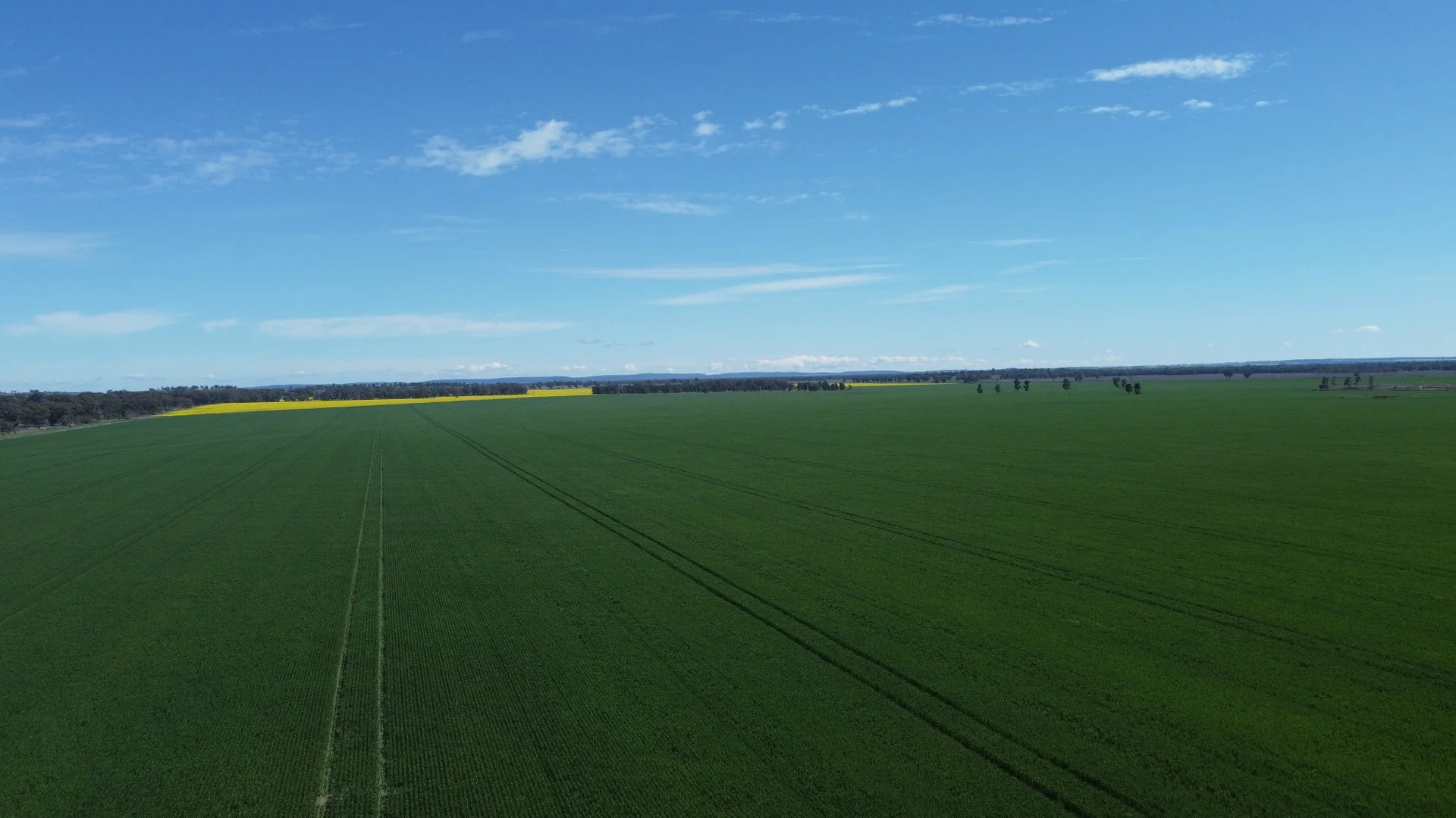 92 Millers Lane, Parkes NSW 2870