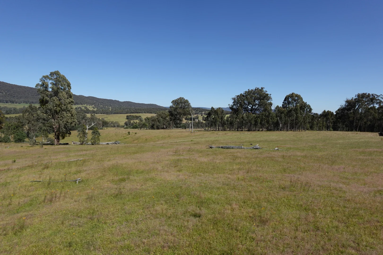 Additional image 19 of 2985 Midland Highway, Lima South VIC 3673