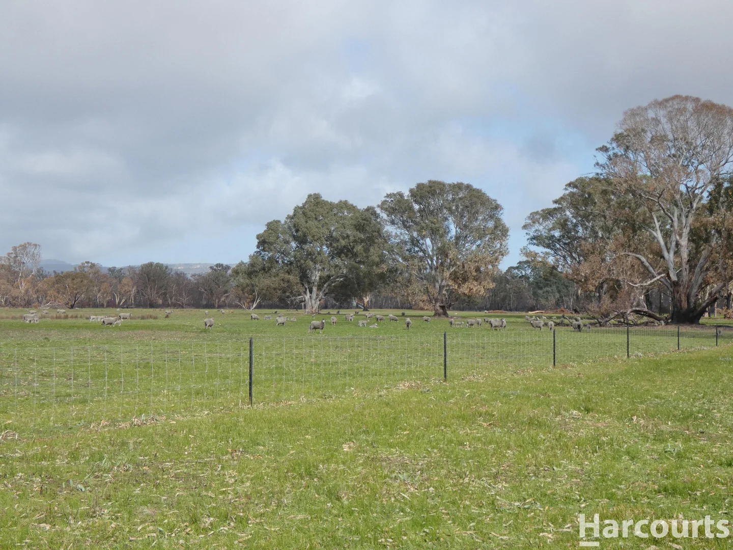 Additional image 11 of 6080 Western Highway, Dadswells Bridge VIC 3385