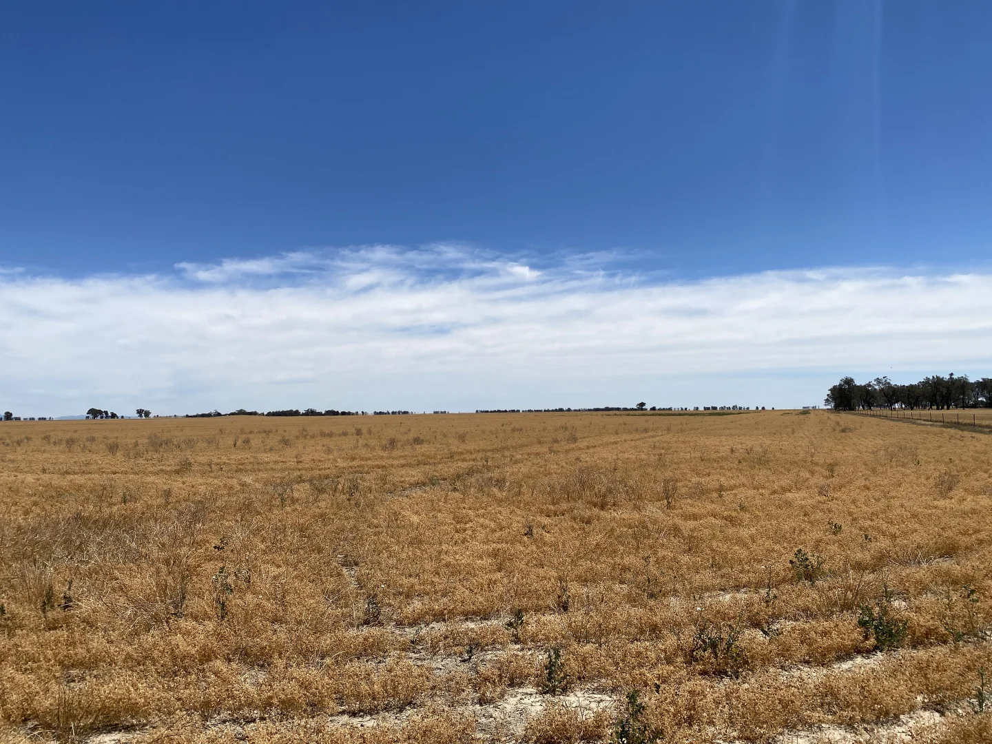 Additional image 4 of Banyena VIC 3388