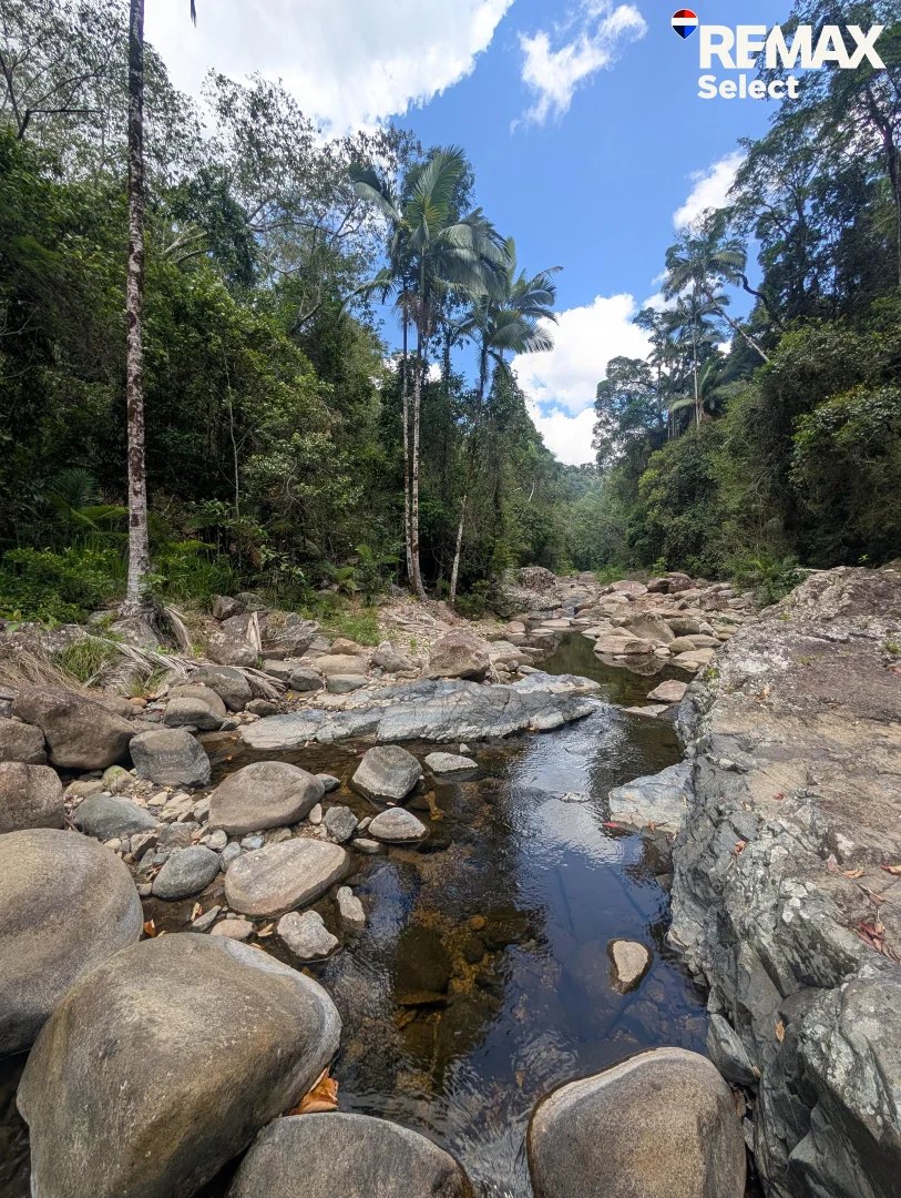 Additional image 41 of 177 Harris Road, Owens Creek QLD 4741