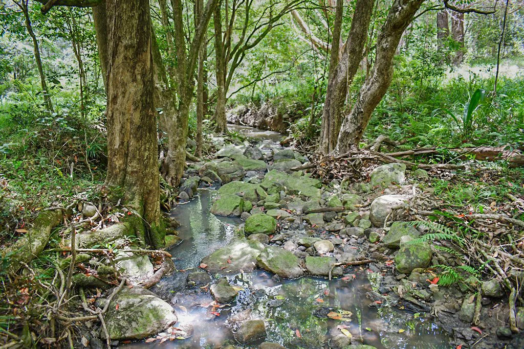 Additional image 25 of 293 Stewart Road, Coondoo QLD 4570