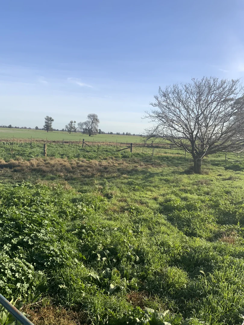 Additional image 16 of 762 Cornells Road, Condobolin NSW 2877