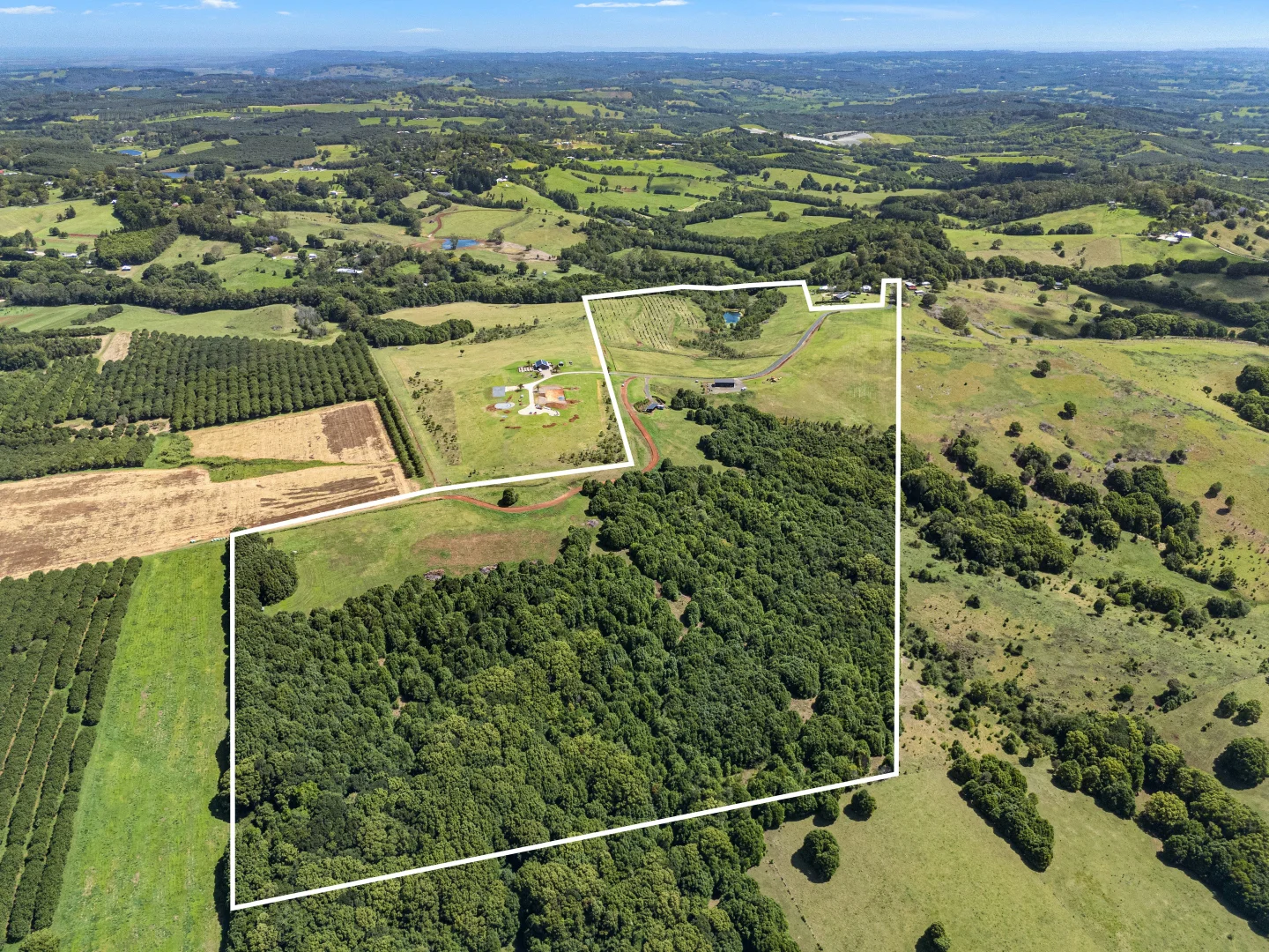 Additional image 27 of 1141 Friday Hut Road, Binna Burra NSW 2479