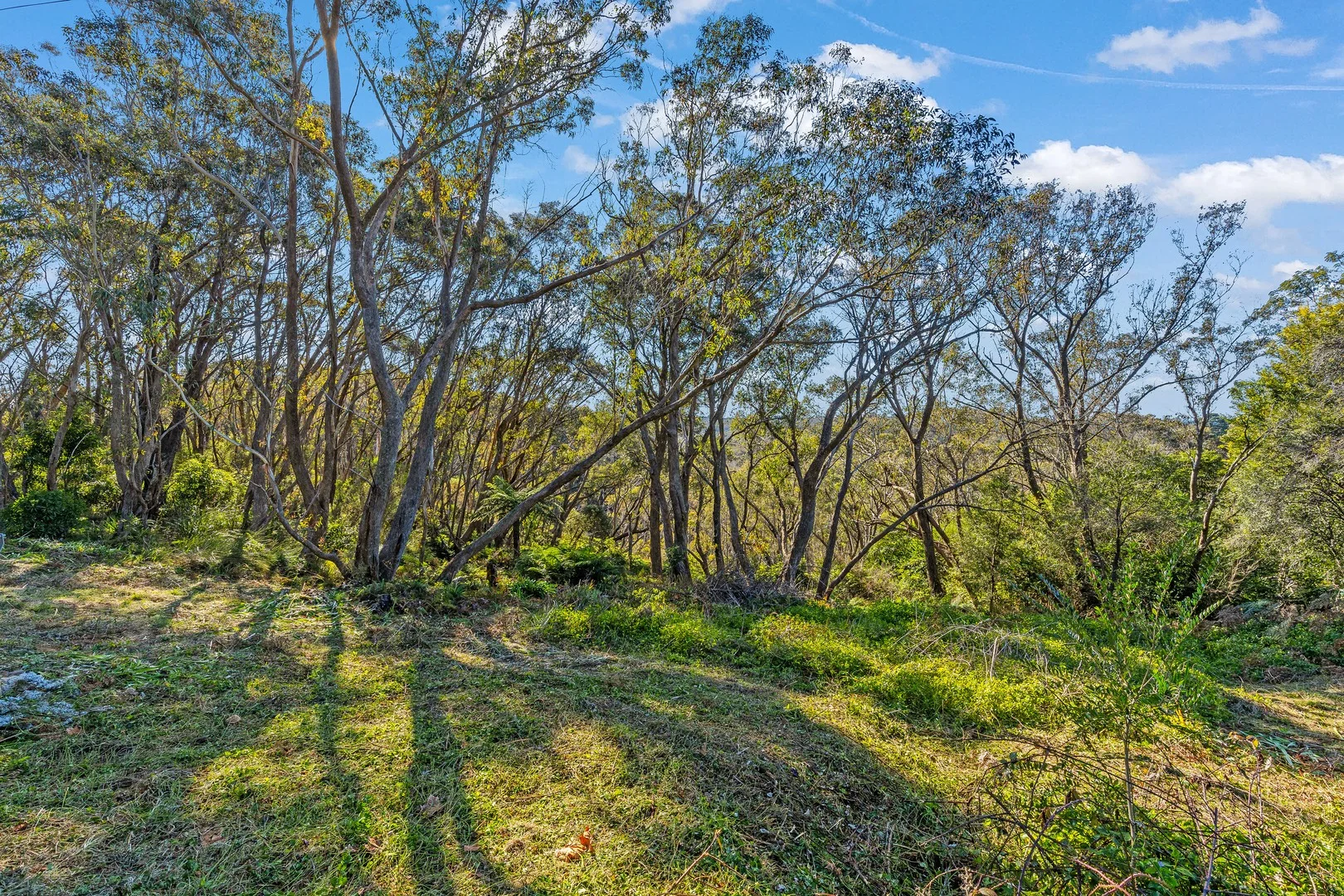 Additional image 3 of 5A Mount Hay Road, Leura NSW 2780