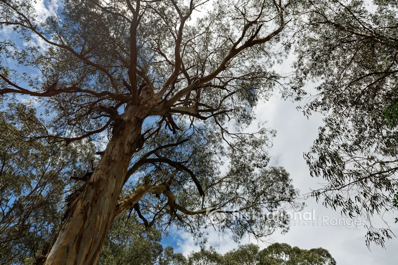 Additional image 18 of 171 Stewart Road, Emerald VIC 3782