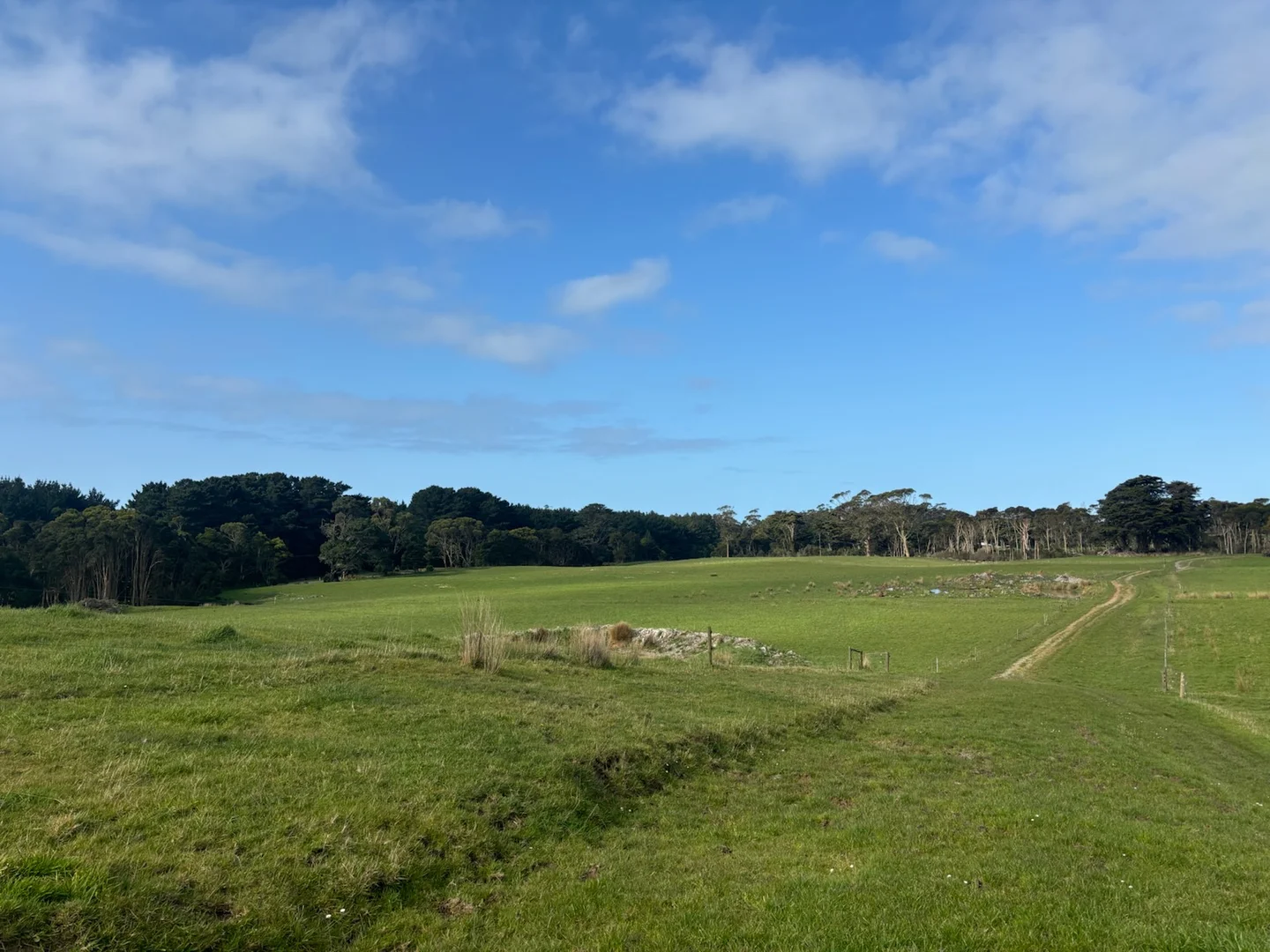 Additional image 6 of 678 Pegarah Road, Pegarah TAS 7256