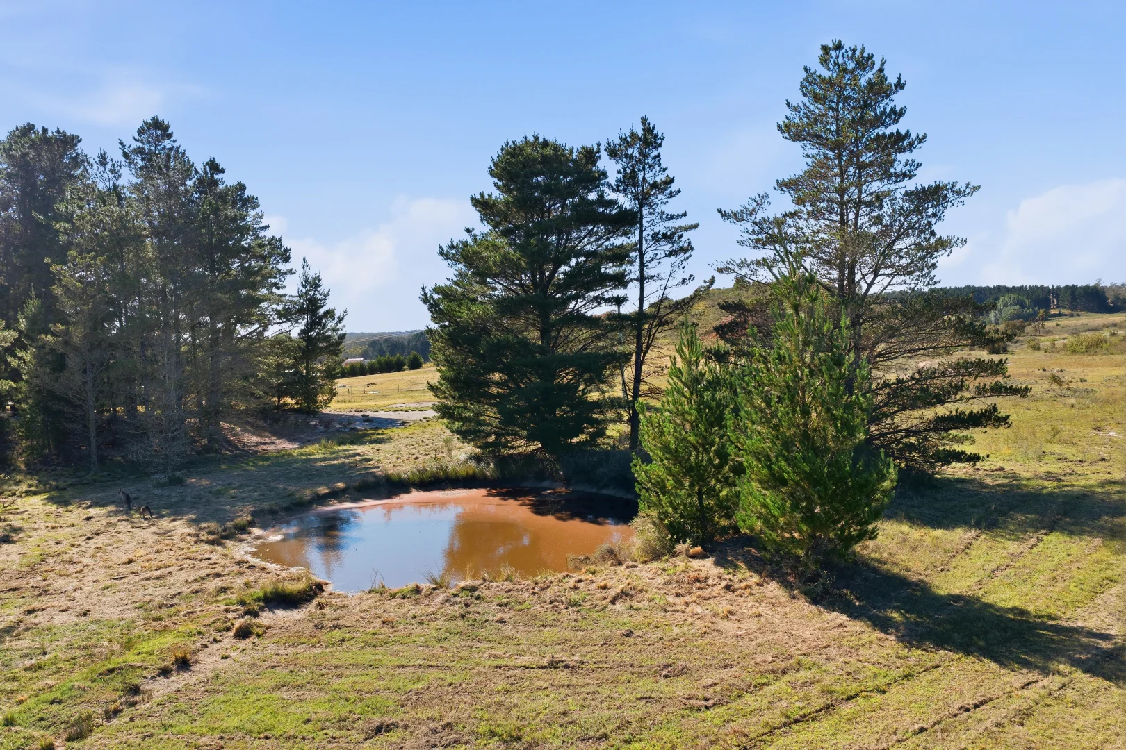 Additional image 13 of 15 Claypit Rd, Windellama NSW 2580