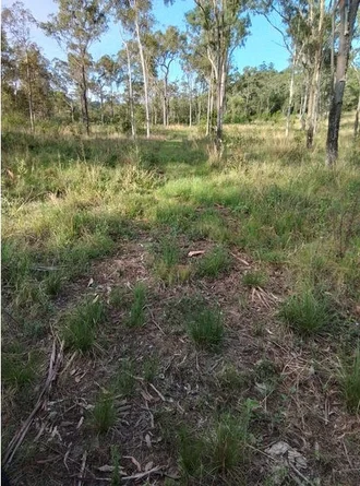 Additional image 10 of Lot 3 Kanigan Road, Kanigan QLD 4570