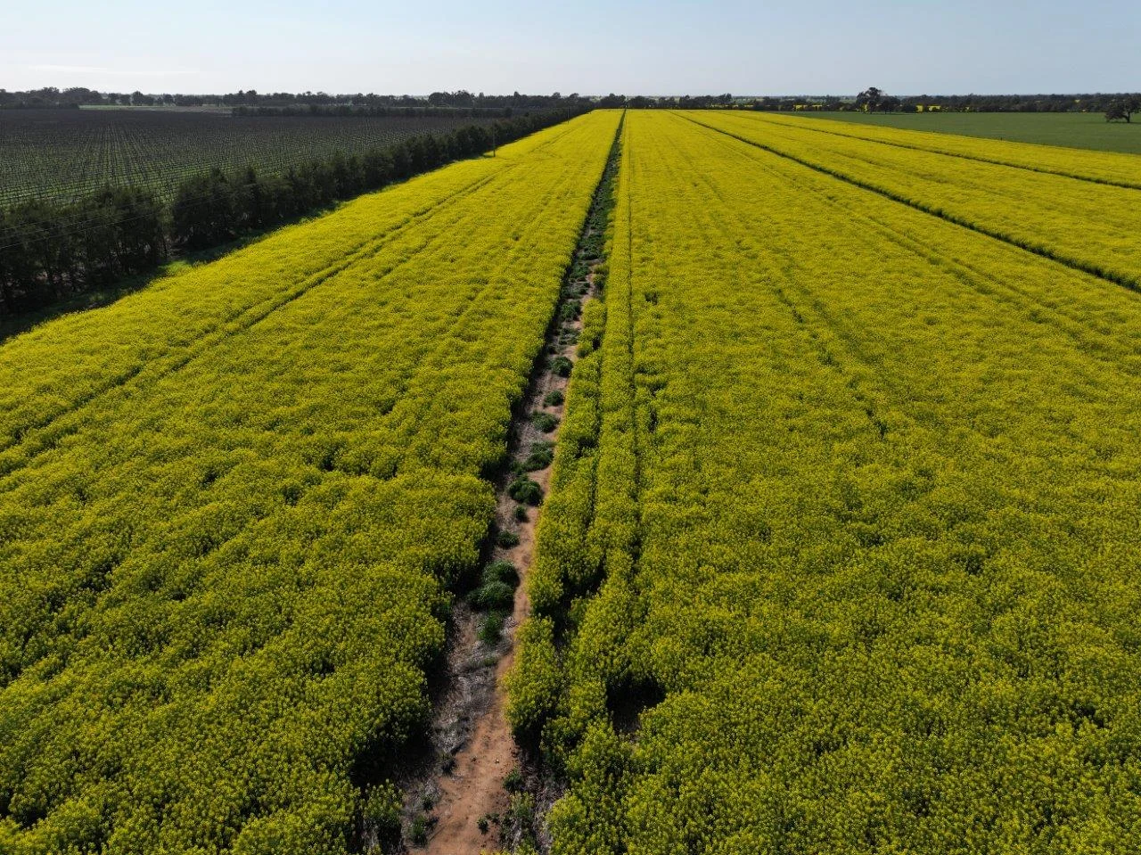 Additional image 19 of 747 Old Bridgewater-Serpentine Road, Serpentine VIC 3517