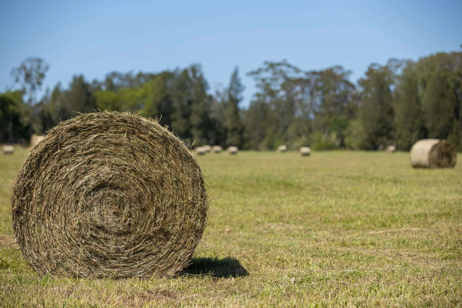 Additional image 23 of 79, 81 & 249 Elliots Road, Nabiac NSW 2312