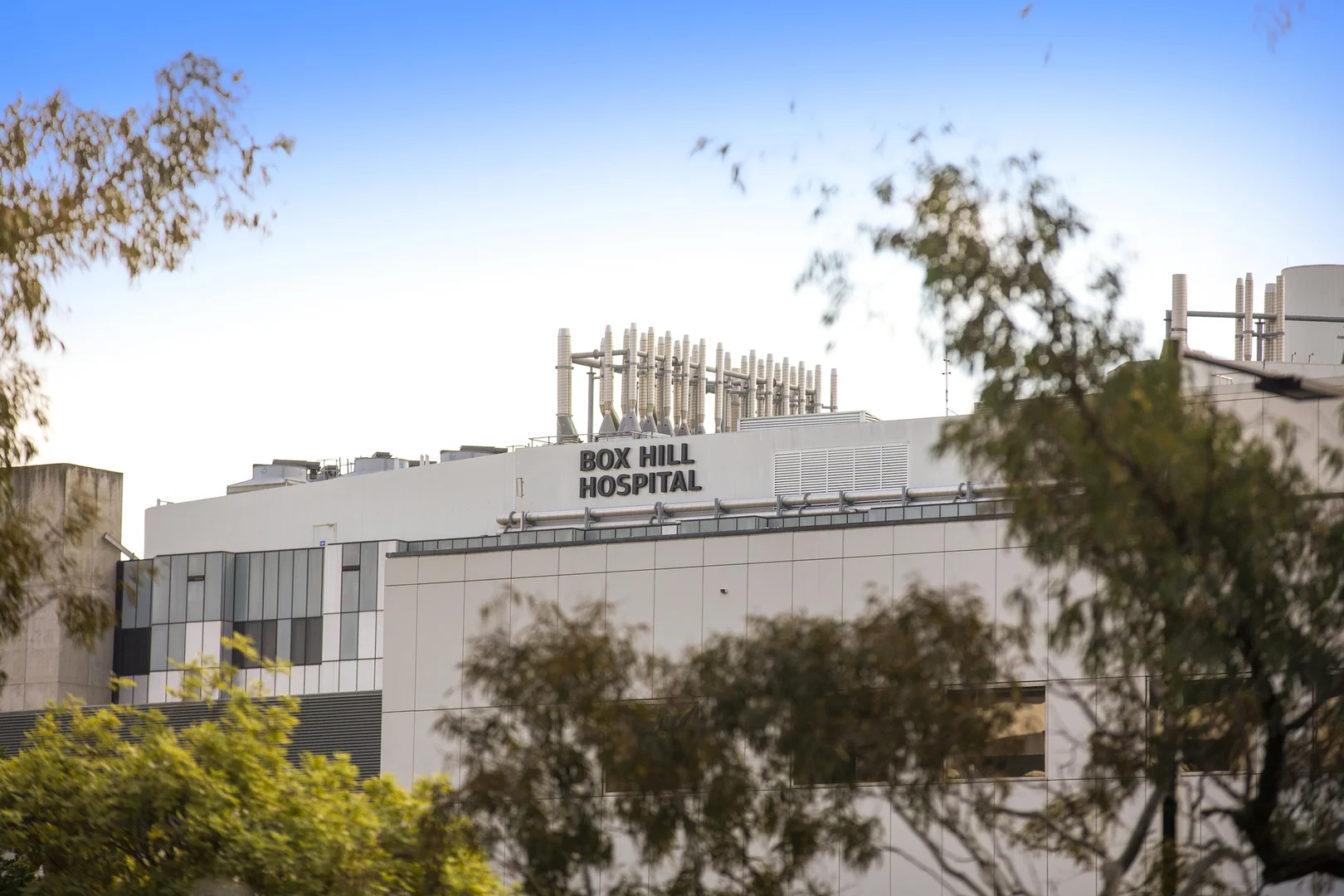 Additional image 16 of 771-773 Whitehorse Road, Mont Albert VIC 3127