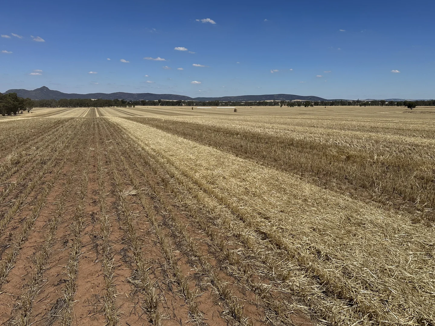 Additional image 2 of Lot 1 Tootool Mittagong Road, Tootool NSW 2655