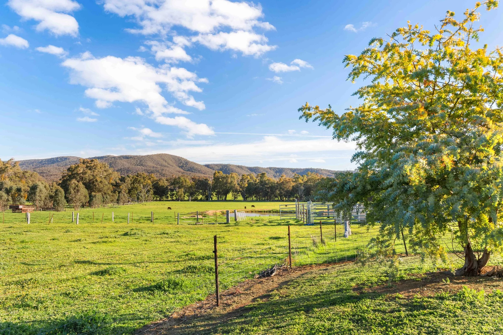 Additional image 20 of 44 Hardys Lane, Warrenmang VIC 3478