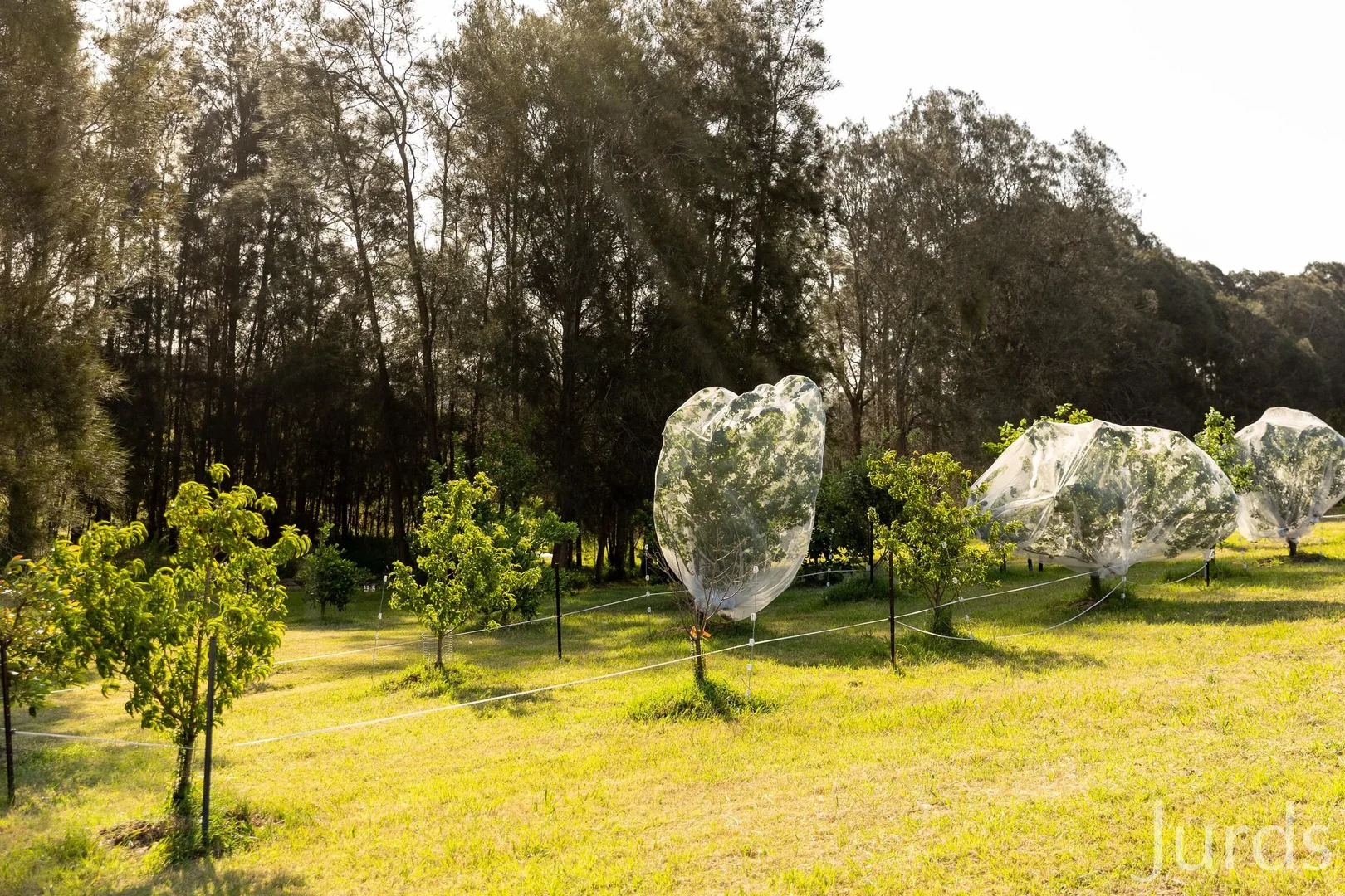 Additional image 25 of 110 Old North Road, Pokolbin NSW 2320