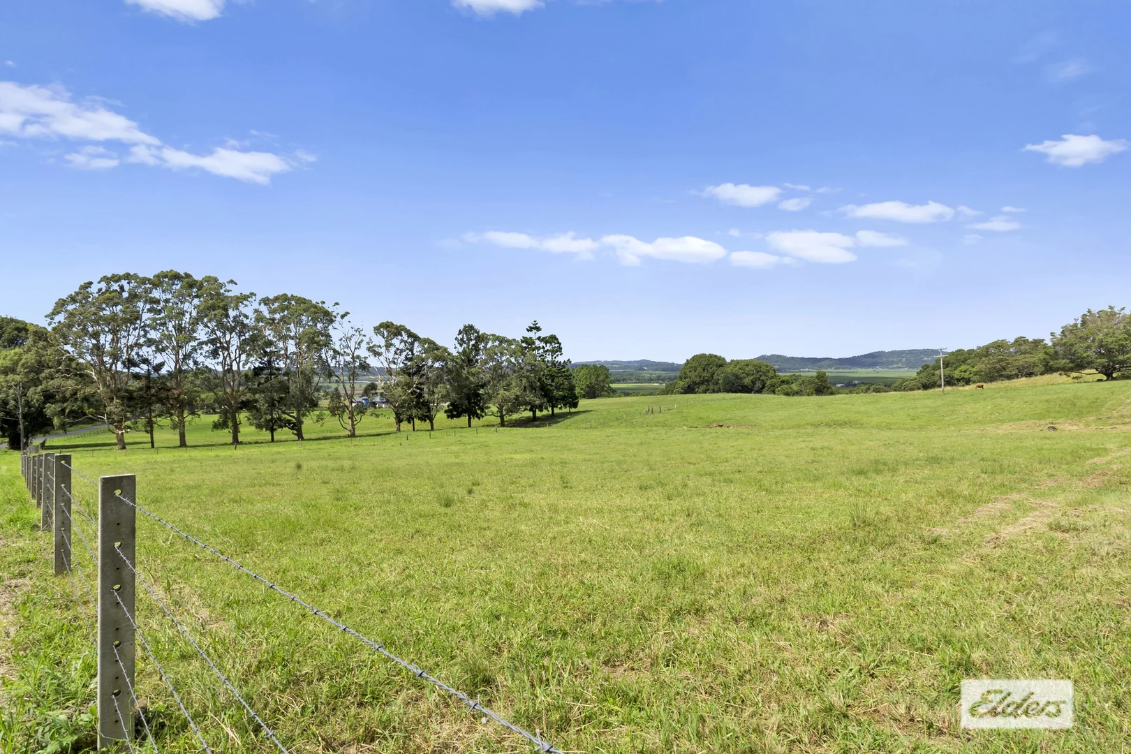 Additional image 3 of 889 Terranora Road, Bungalora NSW 2486