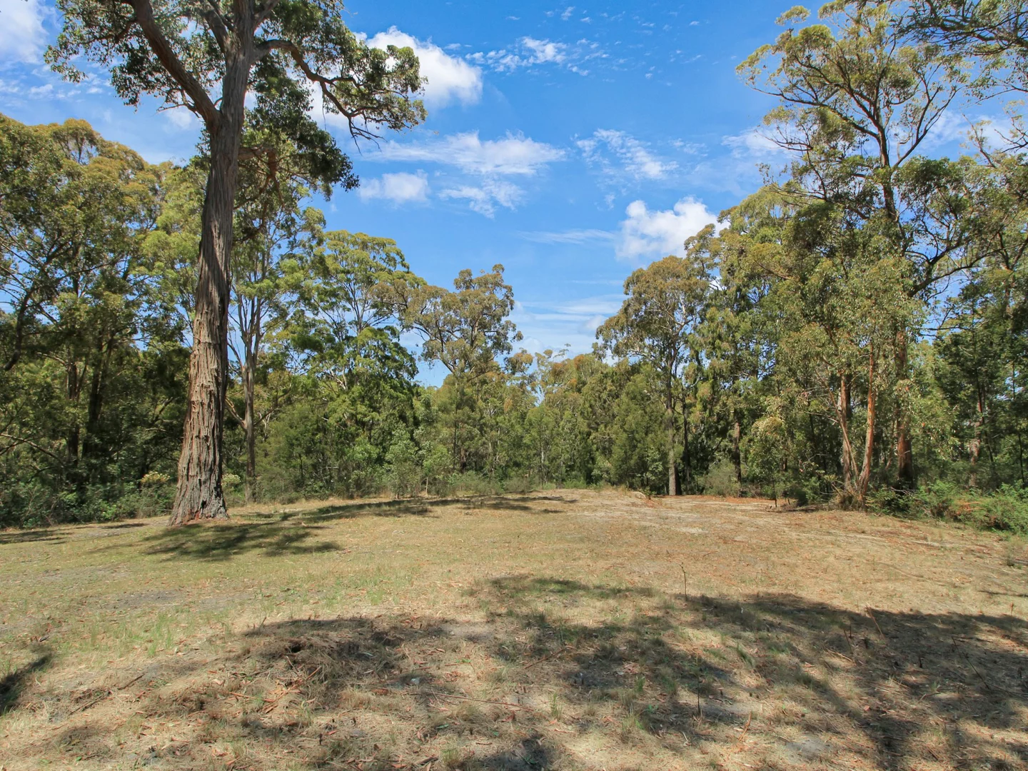 Additional image 4 of 463 Nungurner Road, Nungurner VIC 3909
