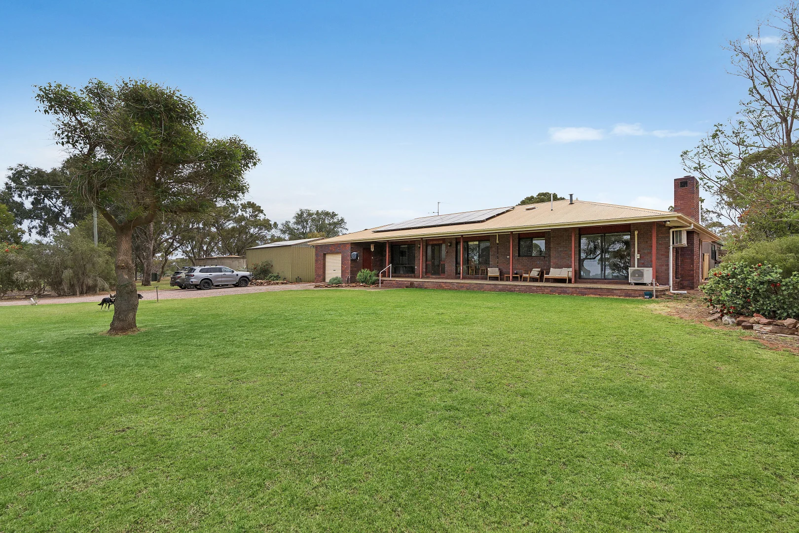 Additional image 19 of 340 Carbone Road, Leeton NSW 2705