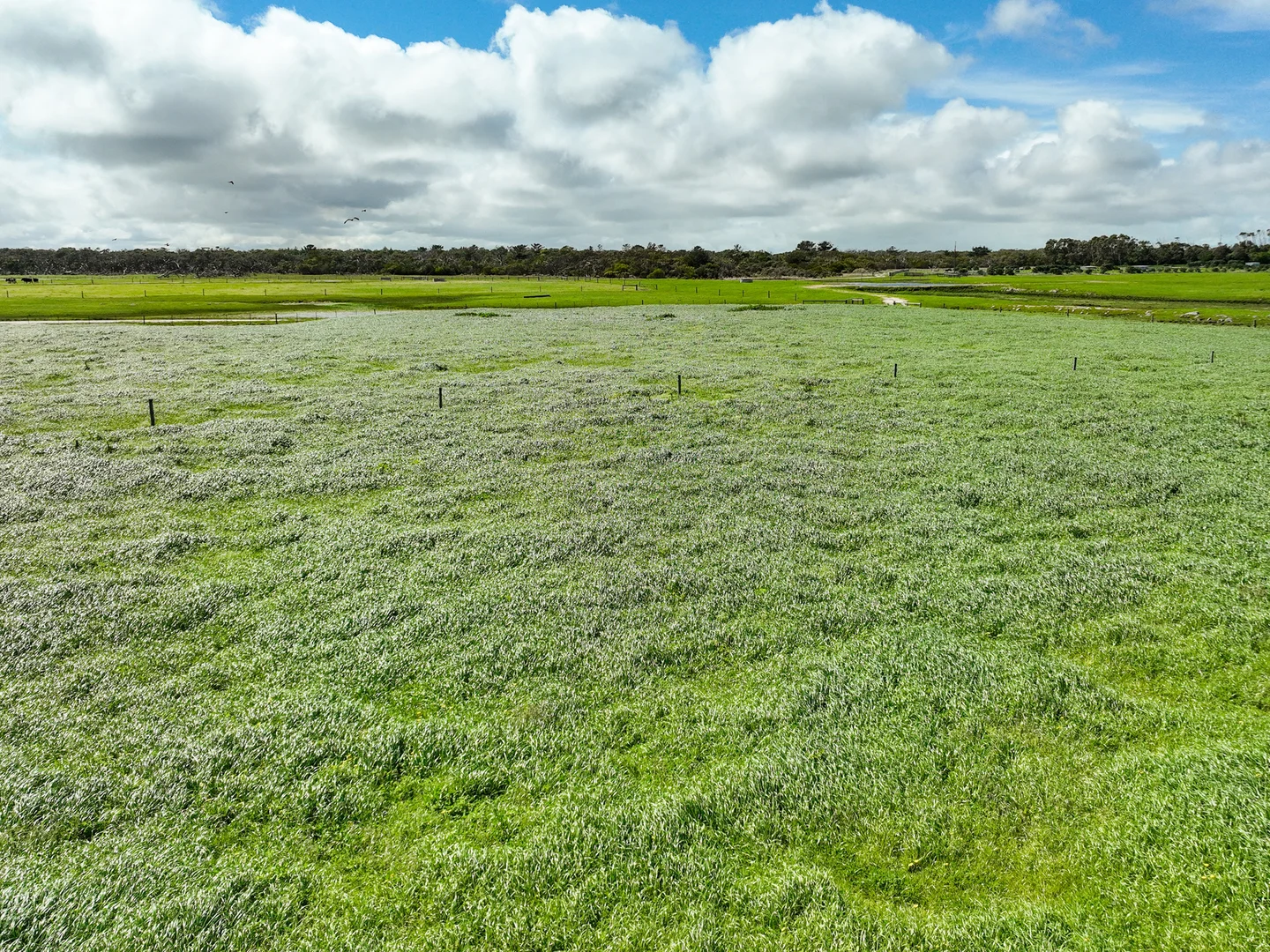 Additional image 8 of Spehrs Road, Nene Valley SA 5291
