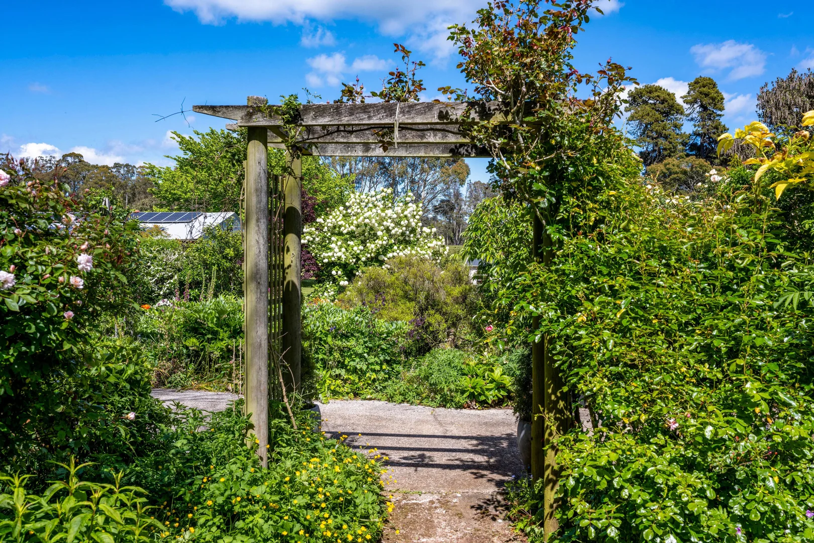 Additional image 33 of 70 Quamby Brook Road, Deloraine TAS 7304