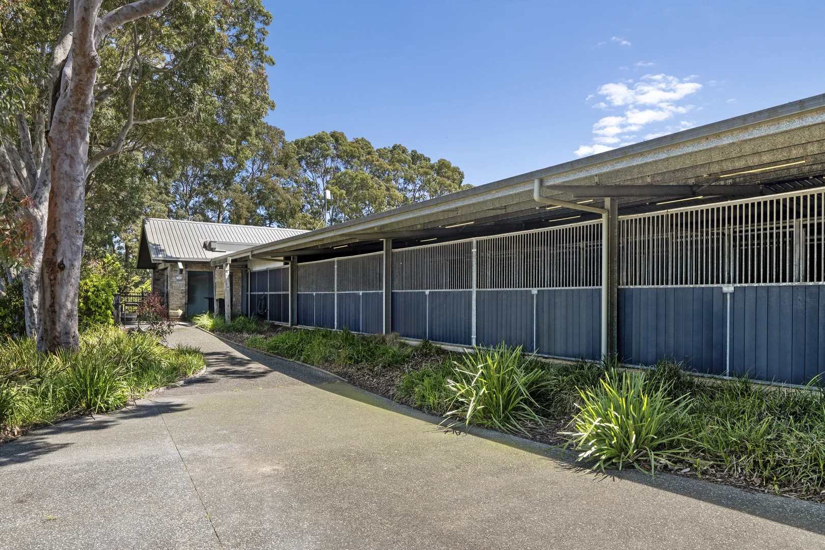 Additional image 25 of 356 Shands Road, Main Ridge VIC 3928