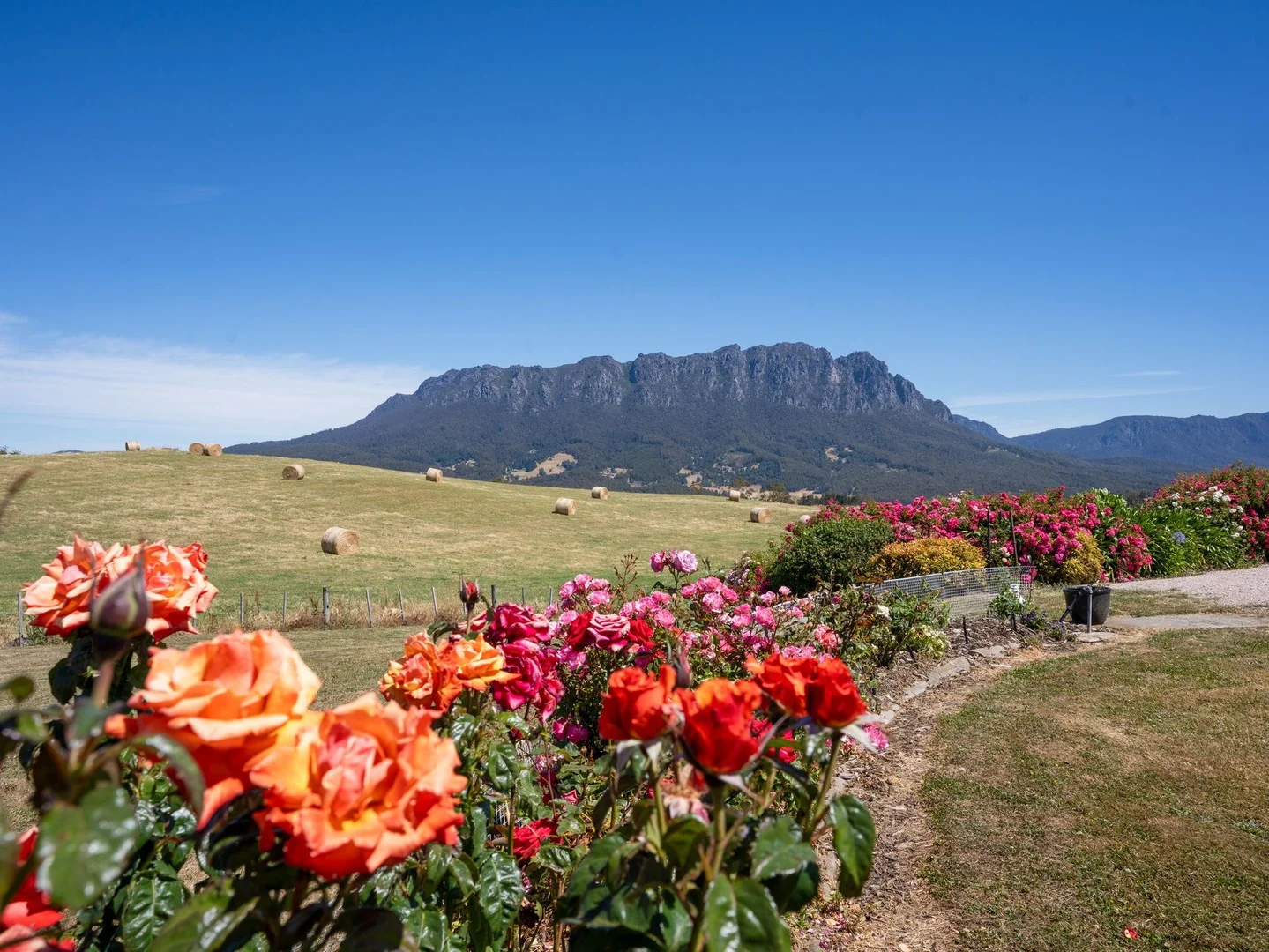 Additional image 23 of 123 Careys Road, West Kentish TAS 7306