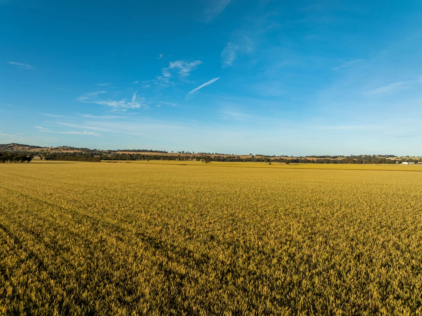 Additional image 13 of 158 Bethel Road, Burrumbuttock NSW 2642