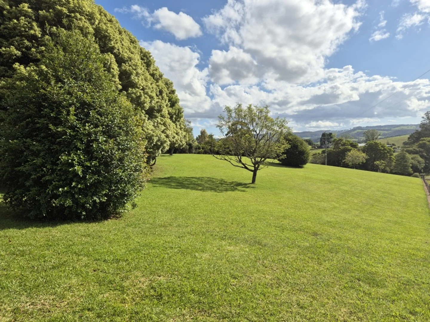 Additional image 28 of Dorrigo NSW 2453