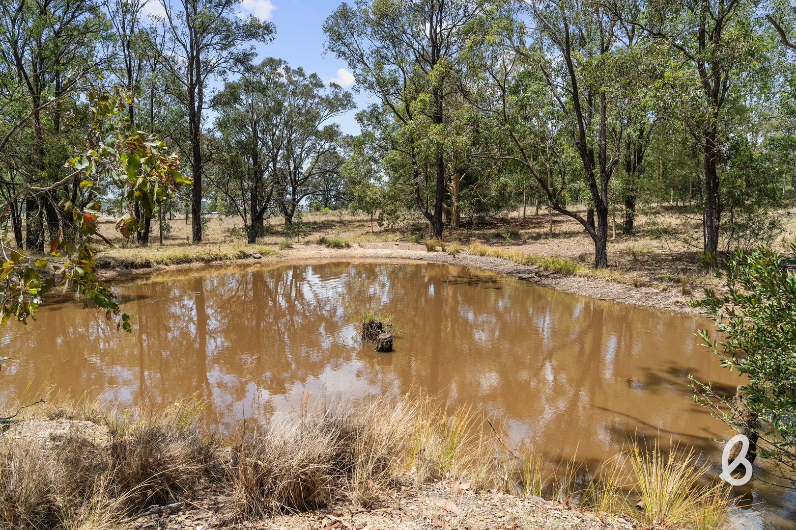 Additional image 54 of 140B Mitchells Flat Road, Singleton NSW 2330