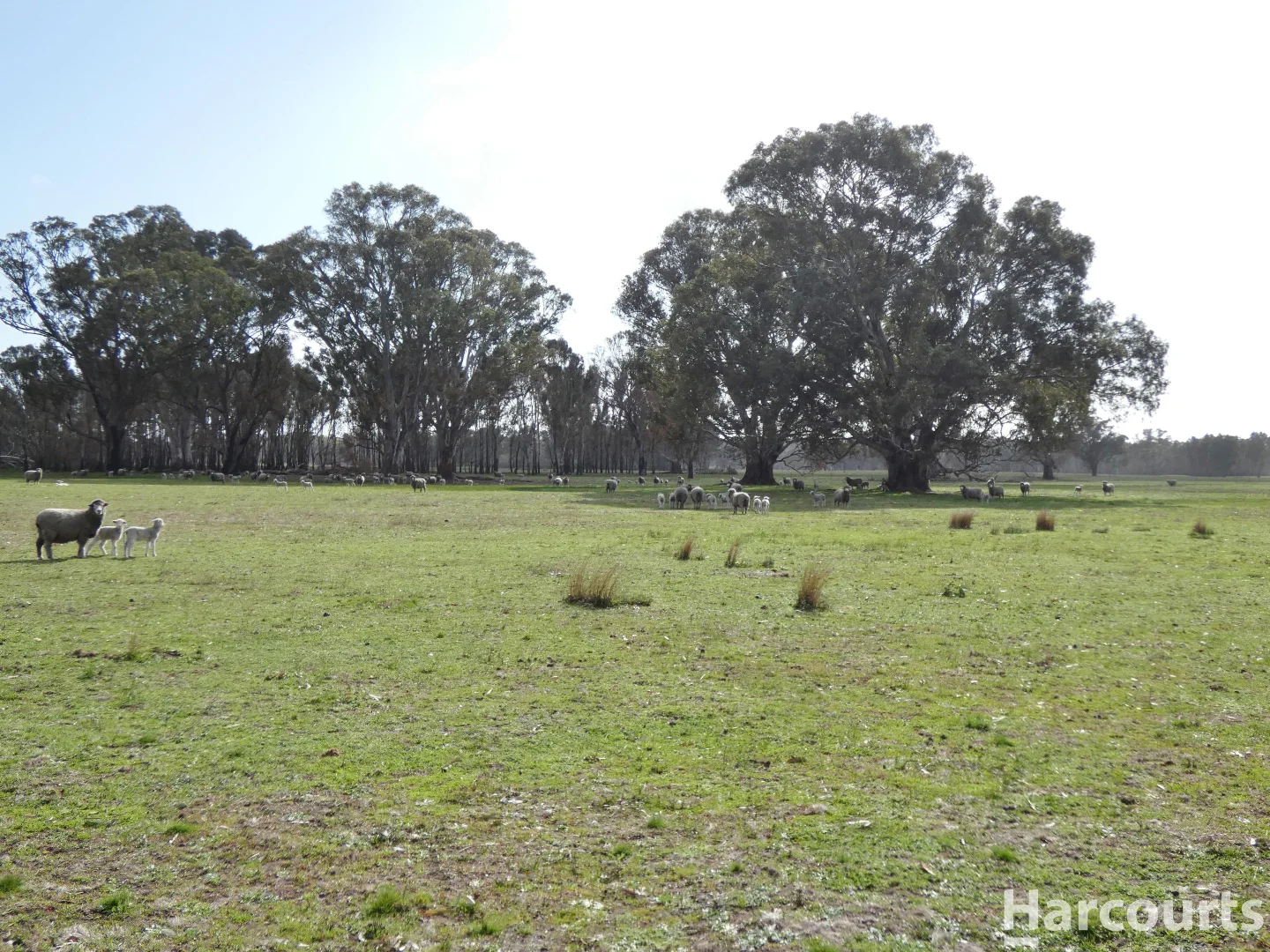 Additional image 15 of 6080 Western Highway, Dadswells Bridge VIC 3385